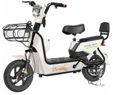 500 Watt Electric Scooter /