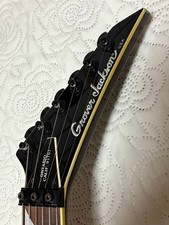 Chitarra elettrica Grover