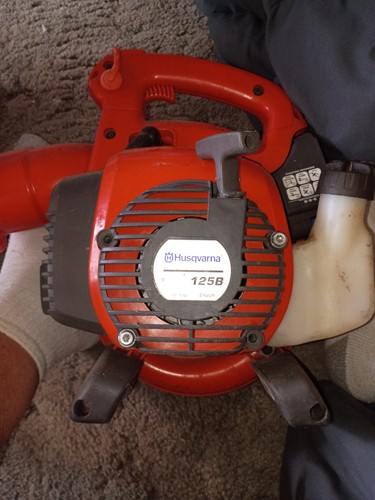 Soffiatore foglie husqvarna - foglie,