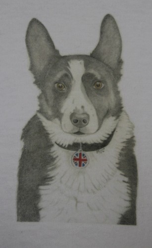 Border collie shirts - border,