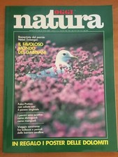 OGGI NATURA N. 6 1984 GABBIANI - CINGHIALI - FUNGHI PORCINI  - POSTER DOLOMITI