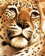 CD RACCOLTA SCHEMI PUNTO CROCE ANIMALI GATTI CAVALLI EC