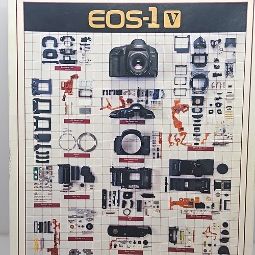 Canon eos puzzle - canon, eos-1v