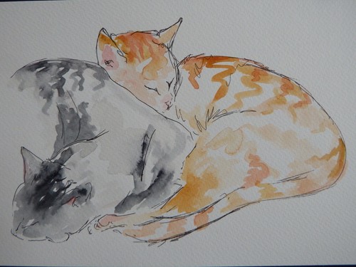 Quadro acquerello gatti - ,