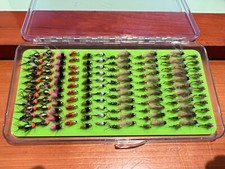 Colección G de 143 ninfas de