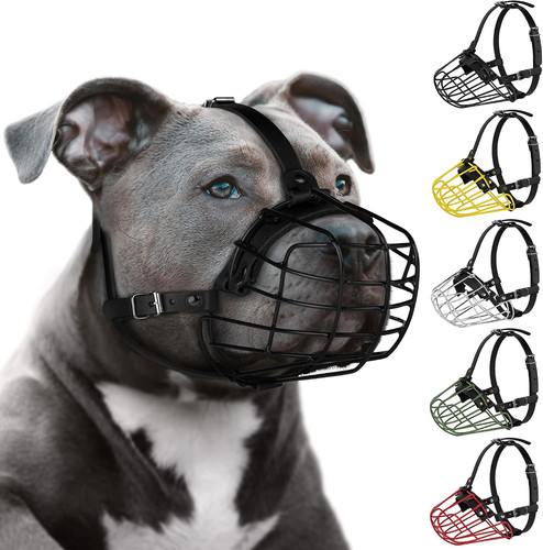 Pitbull museruola per - per, cani