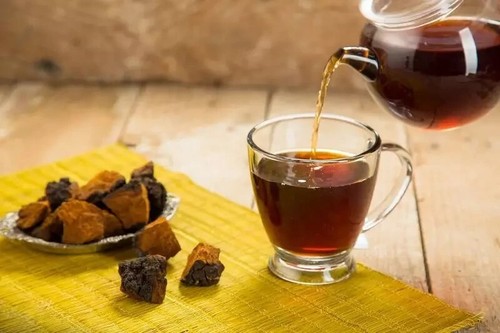 Brocchi fungo chaga - di,