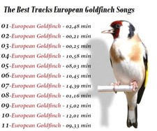 Caccia Electronic Bird Caller Bird Call - Canzoni speciali del cardellino europeo