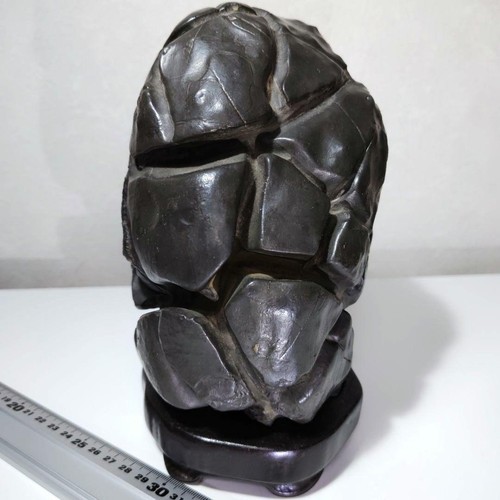 Suiseki giapponese modello