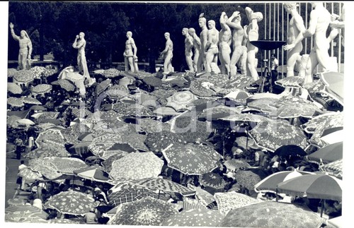 1977 roma foro - roma,