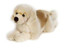 KEWIN GOLDEN RETRIVER DOG