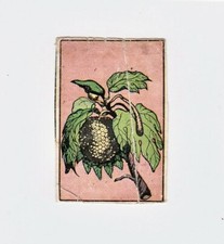 FIGURINA ENCICLOPEDIA