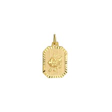 Ciondolo segno zodiacale leone rettangolare oro 333 giallo opaco/diamantato 1...