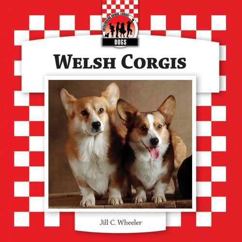 Welsh corgis - corgis, (dogs