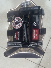 Bulox Service CANE IMBRACATURA