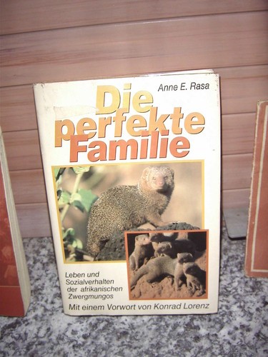 Die perfekte familie von - perfekte, anne