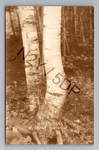 1920 campo estivo ebraico - campo,
