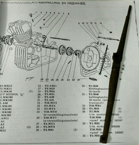 Ducati cucciolo m21 - cucciolo, 48