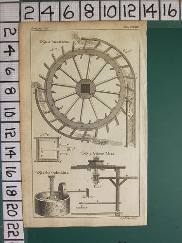1754 antico stampa sezione - 1754,