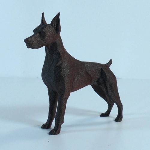 Doberman pinscher stampa - doberman,