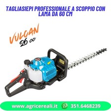 Tagliasiepi Professionale a