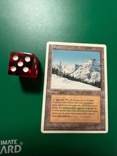 MTG TAIGA PLAYED FWB ITALIAN DUAL LAND