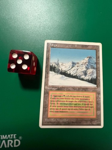 Mtg taiga played - mtg, italian