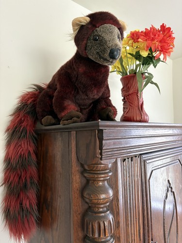 Raro peluche mangusta - raro,