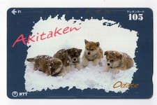 AKITA PUPS IN SNOW LOVELY DOG