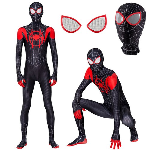 Costume spider hero into the - spider,