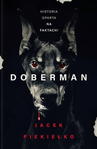 Doberman piekiełko jacek - doberman,