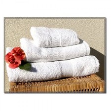 SET TRIS SPUGNA ASCIUGAMANI BAGNO TELO DOCCIA VISO OSPITE PER HOTEL B&B B...