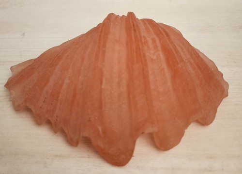 Clam shell resina rosa 6x4 - resina,