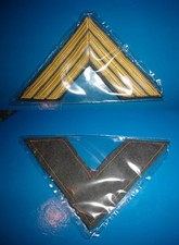 ESERCITO ALPINI grado x