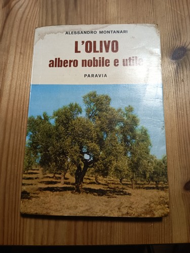 Olivo albero nobile utile - nobile,