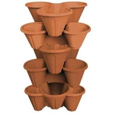 SET 6 FIORIERE FRAGOLE -