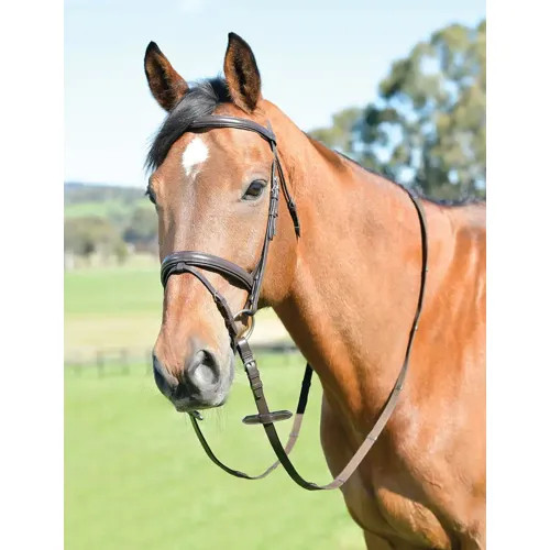 Kincade classic briglia flash - kincade,