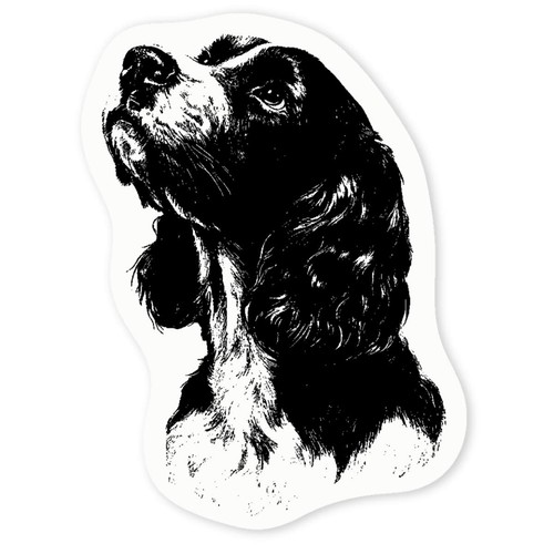 Cocker spaniel dog portrait - spaniel,
