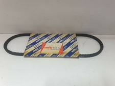 Cinghia alternatore pompa