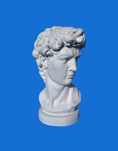 Busto gesso david - in,