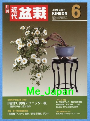 Kindai bonsai kinbon - kinbon, june
