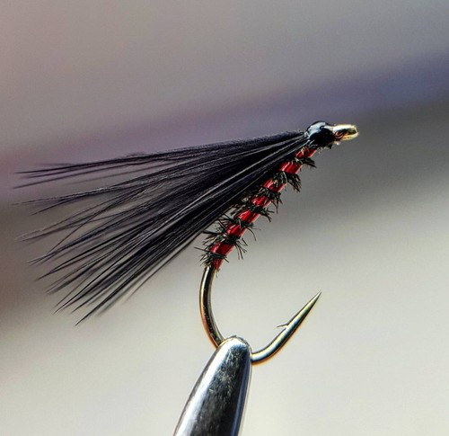 Cormorani olografici rossi - ,