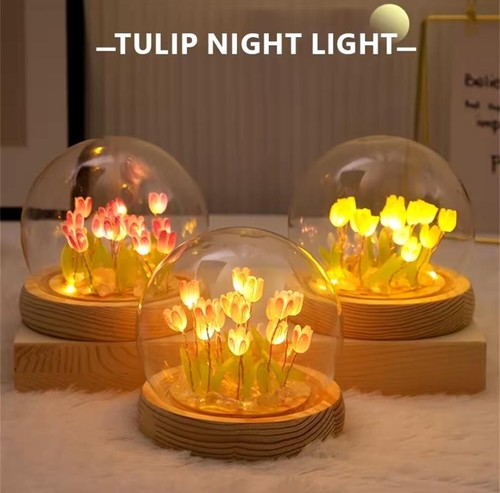 Luce notturna fiore tulipano