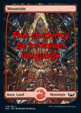 MTG MOUNTAIN 278 EXC - MONTAGNA - SNC - MAGIC