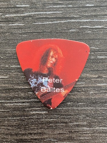 Accept guitar pick - accept, peter