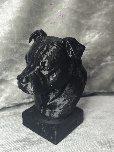 Busto nero staffordshire - nero, 10