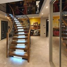 Scala colonna vertebrale