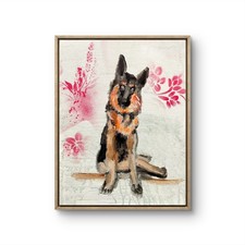 Pastore tedesco 12 x 16