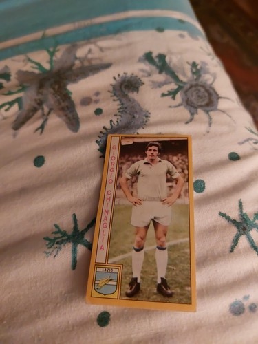 Figurina panini calciatori - figurina,