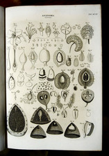 1849 Stampa Antica